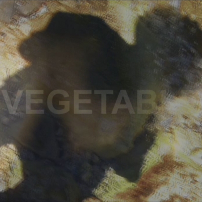 nv013 max: vegetable man (noise remix 2019) 2019